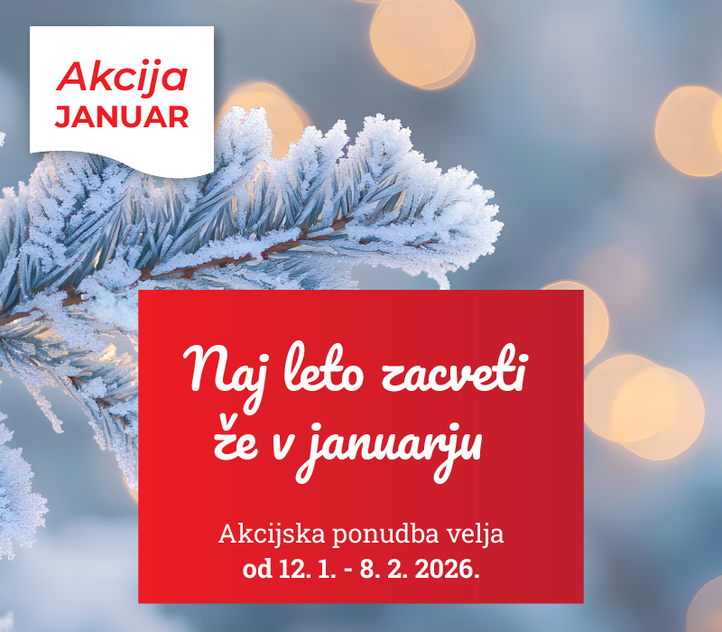 Akcija