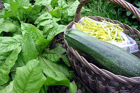 SHRANJEVANJE PRIDELKOV