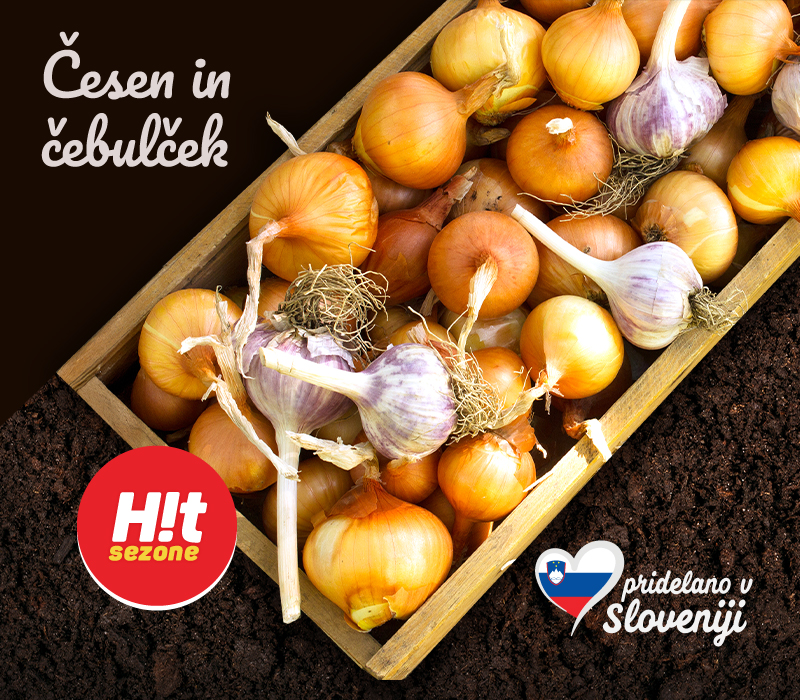 Češen in čebulček 