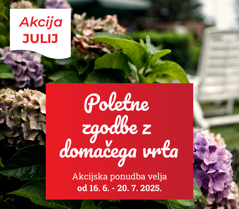 Akcija JUNIJ