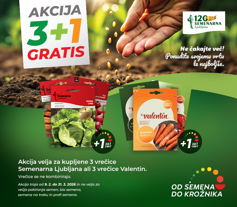 Od semena do krožnika