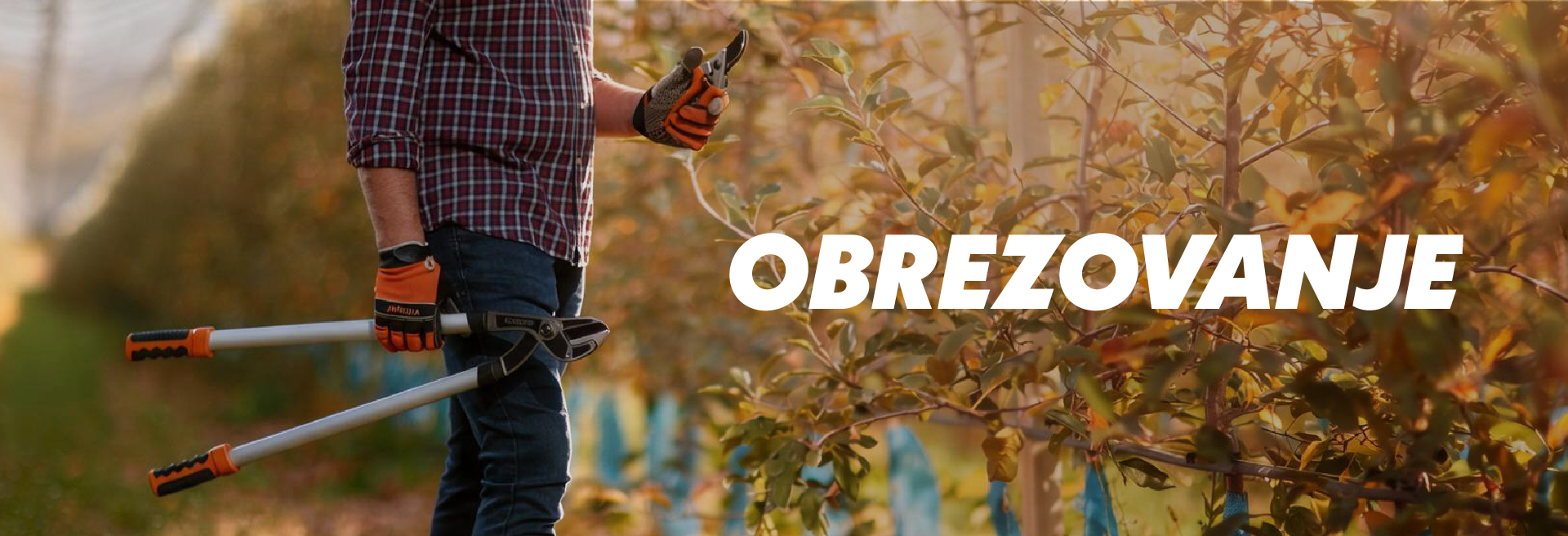 Obrezovanje