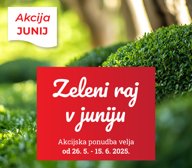 Akcija JUNIJ