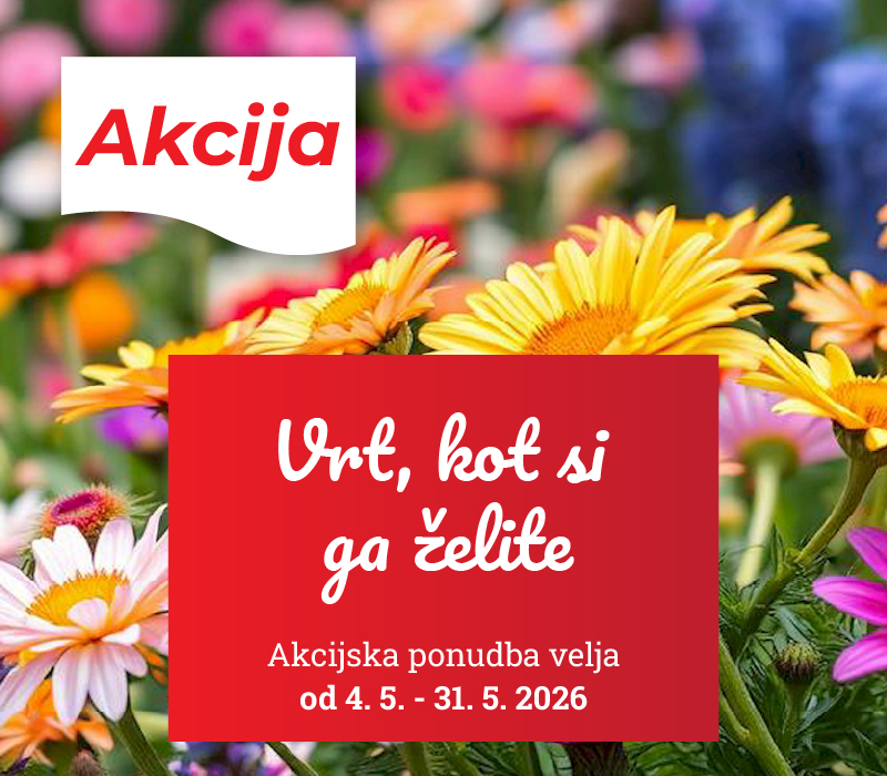 Akcija
