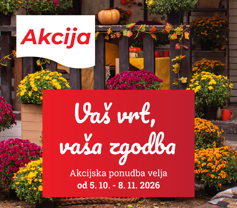 Akcija