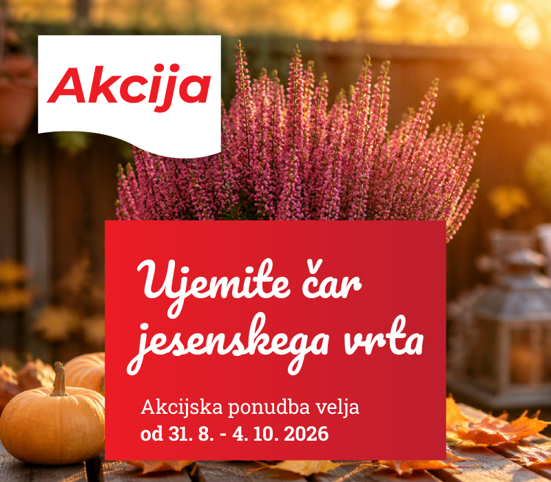 Akcija