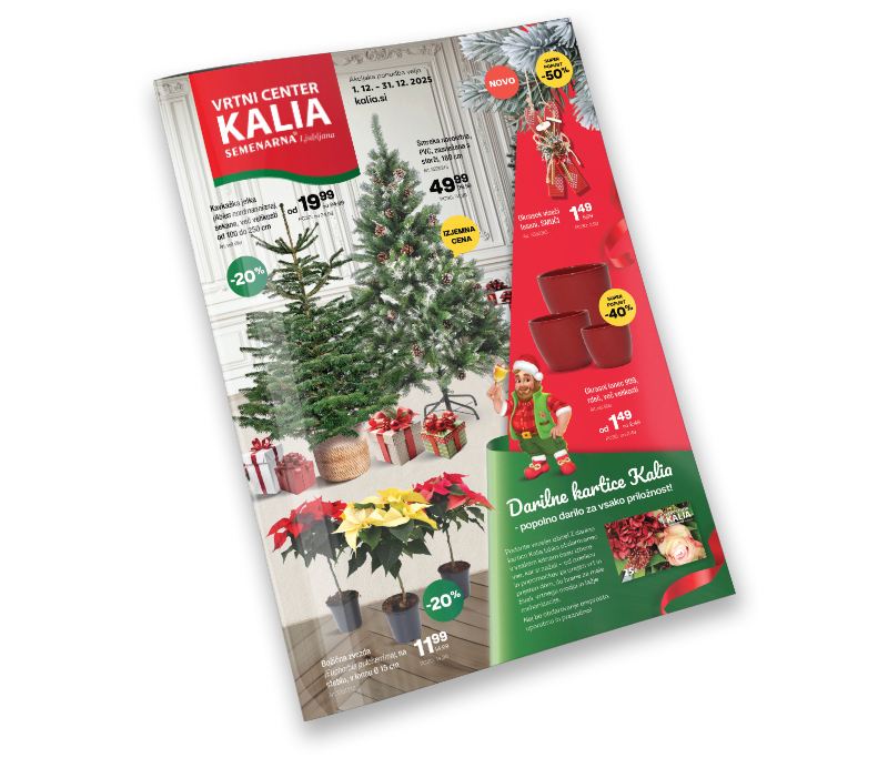 Katalogi in brošure  1.12.-31.12.2025