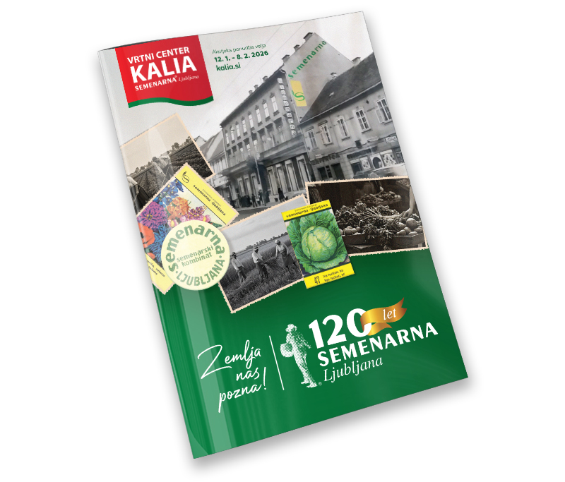 Katalogi in brošure  12.1.- 8.2.2026