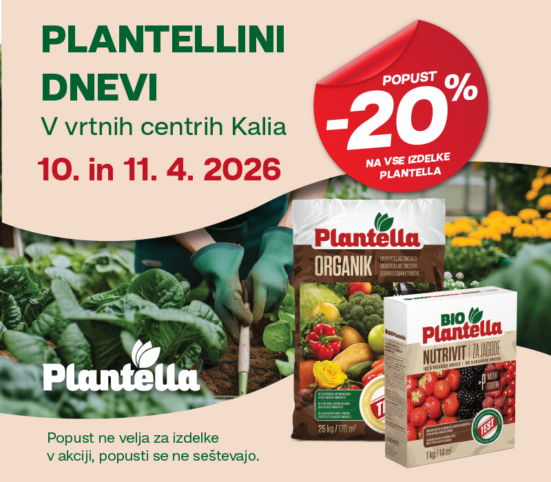 Plantella
