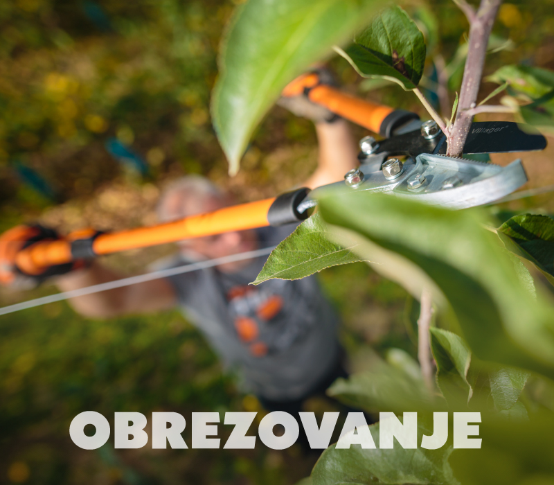 Obrezovanje