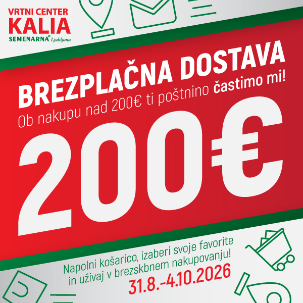 Vsa naročila