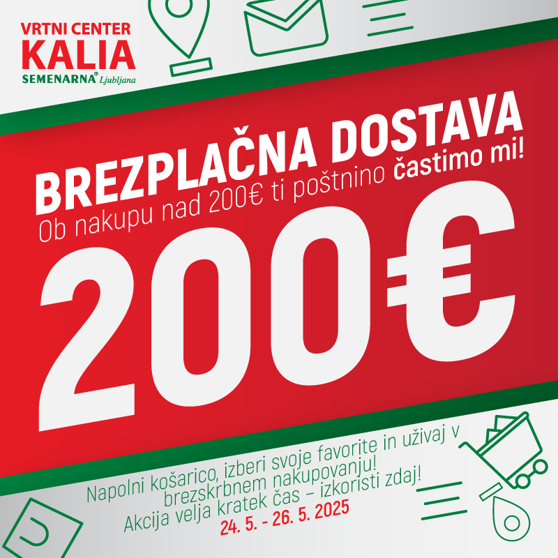 Vsa naročila
