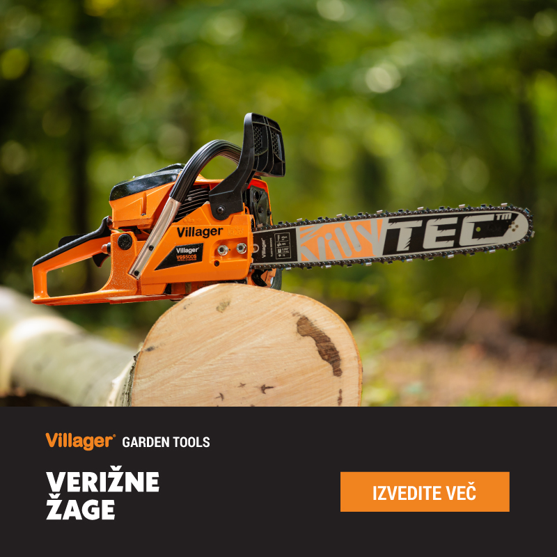 Verizne zage