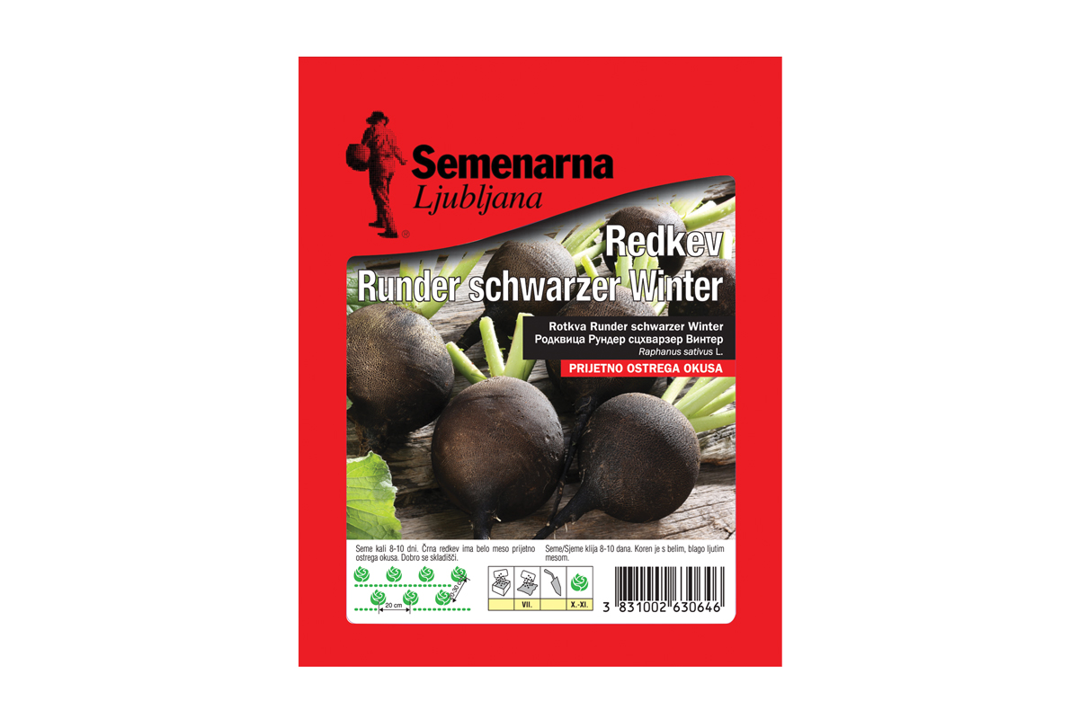 ČRNA REDKEV RUNDER SCHWARZER WINTER 50 g Semenarna