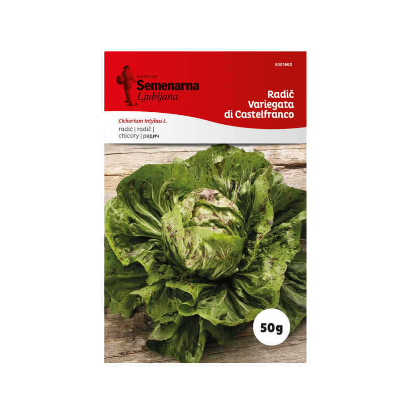 RADIČ VARIEGATA DI CASTELFRANCO 50 g Semenarna 