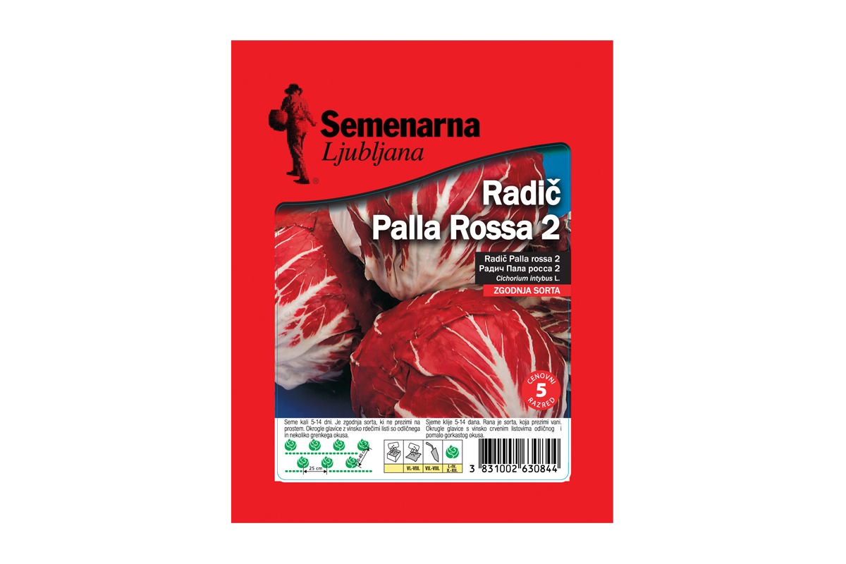 RADIČ PALLA ROSSA 2 50 g Semenarna