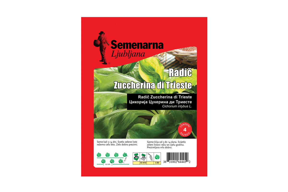 RADIČ ZUCCHERINA DI TRIESTE 50 g Semenarna