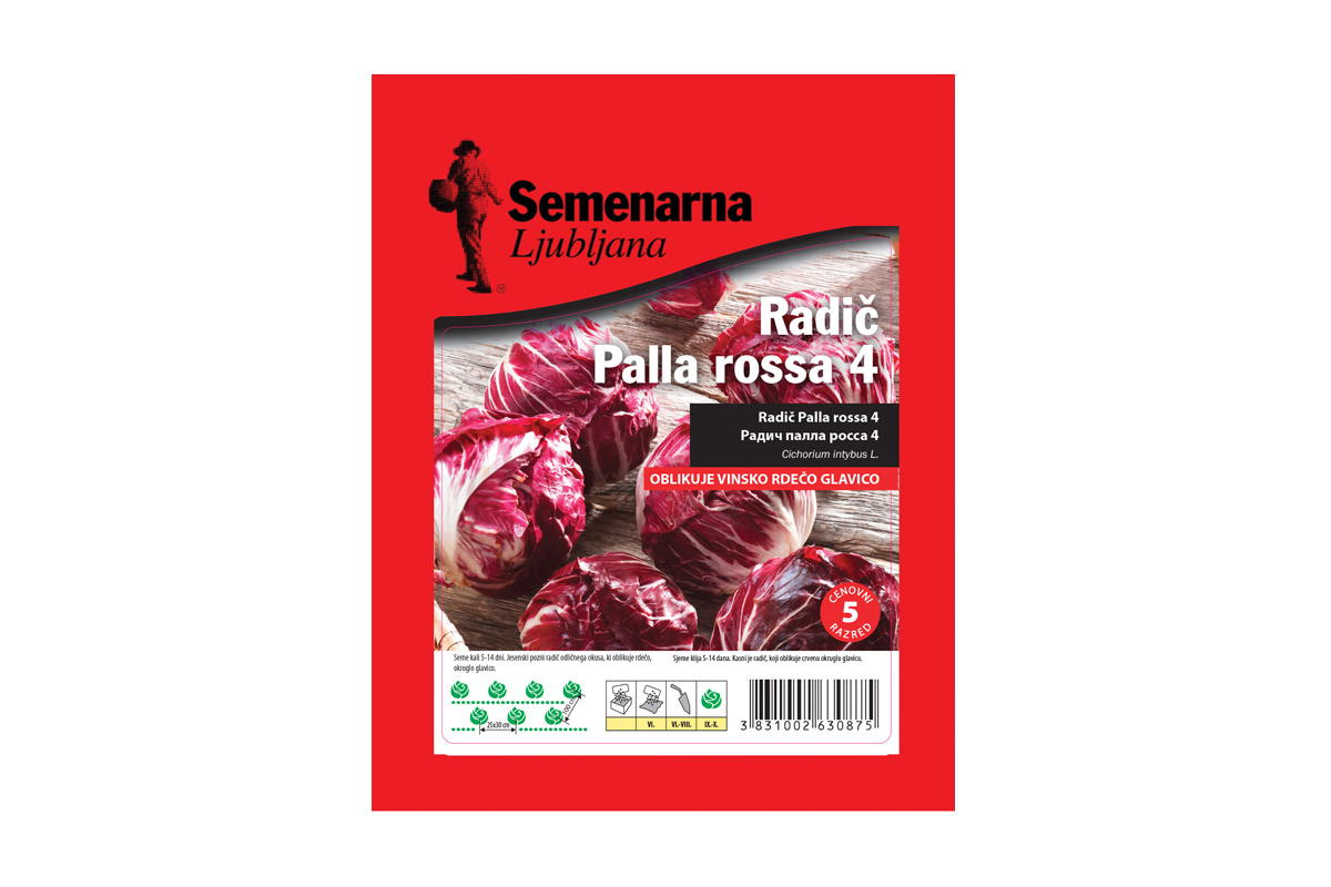 RADIČ PALLA ROSSA 4 50 g Semenarna