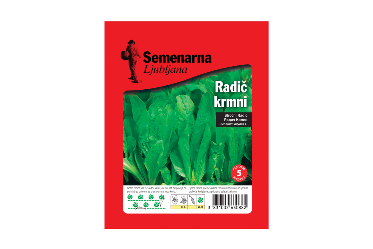 RADIČ KRMNI DI CHIAVARI 50 g Semenarna