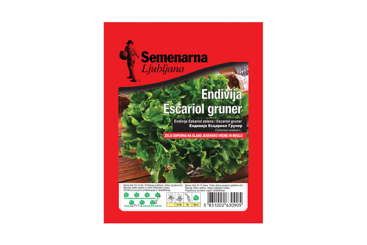 ENDIVIJA ESCARIOL GRUNNER 50 g