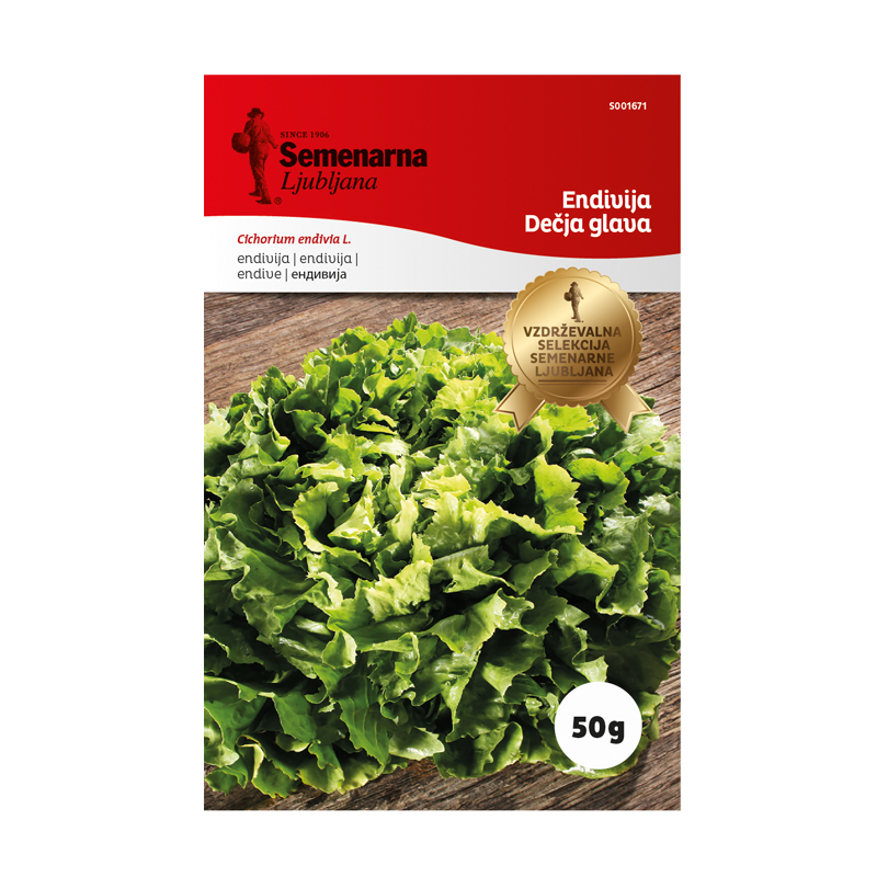 ENDIVIJA DECJA GLAVA 50 g Semenarna