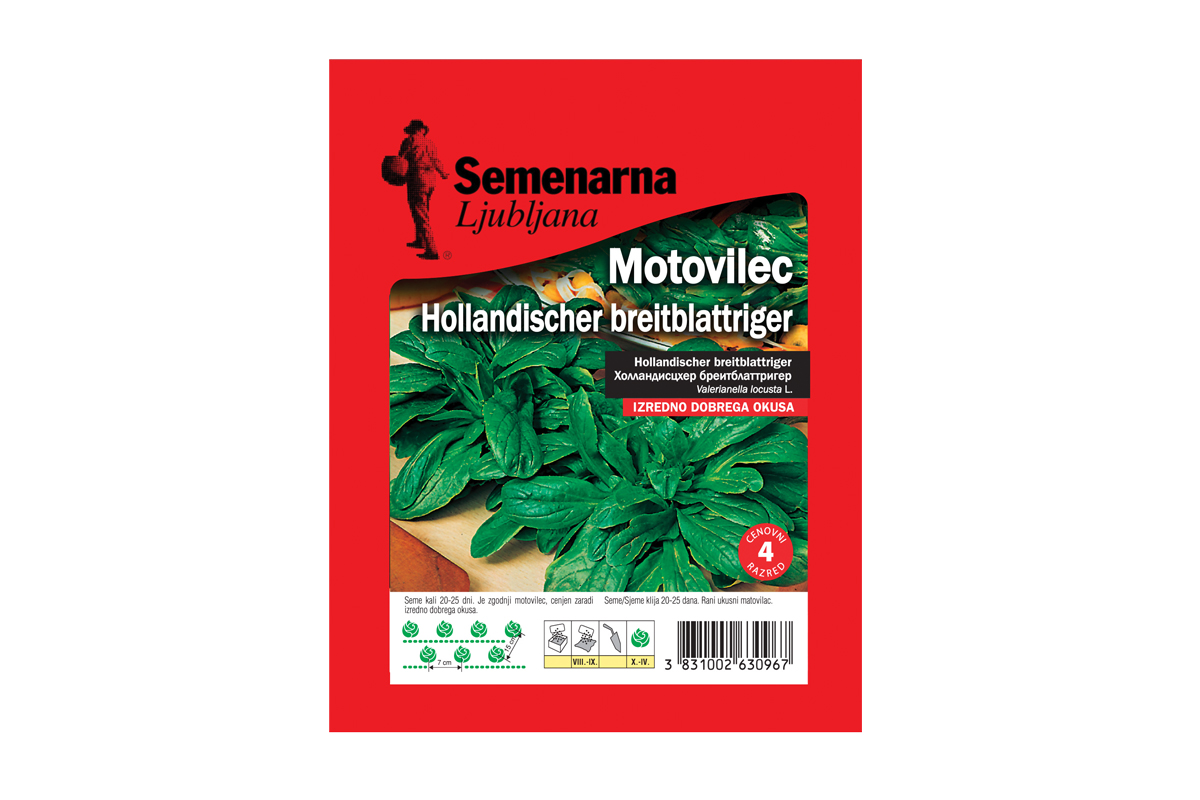 MOTOVILEC HOLLANDISCHER BREITBLATTRIGER 25 g Semenarna