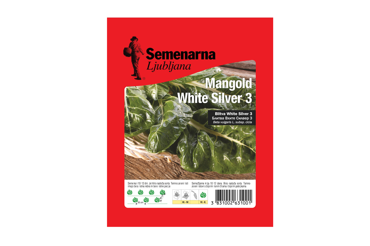 MANGOLD WHITE SILVER 3 50 g Semenarna 