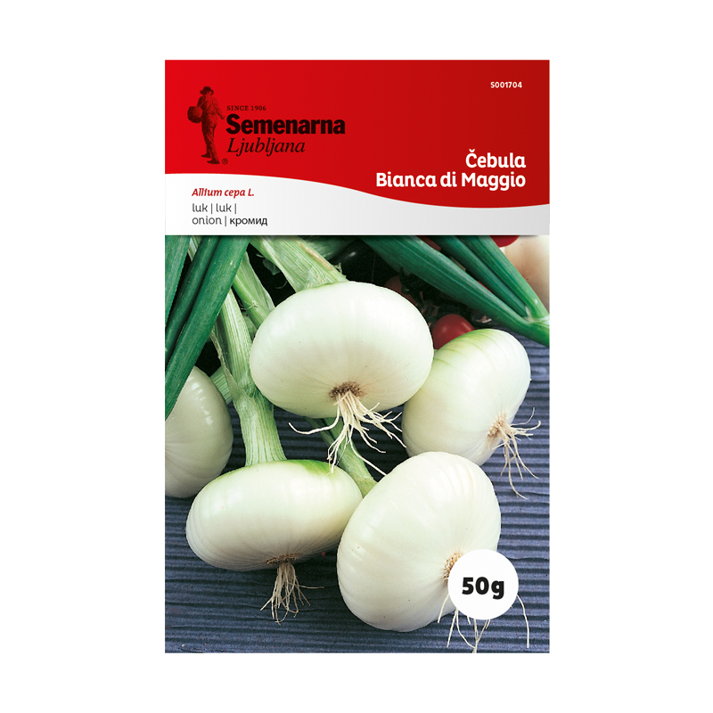 ČEBULA BIANCA DI MAGGIO 50 g Semenarna 