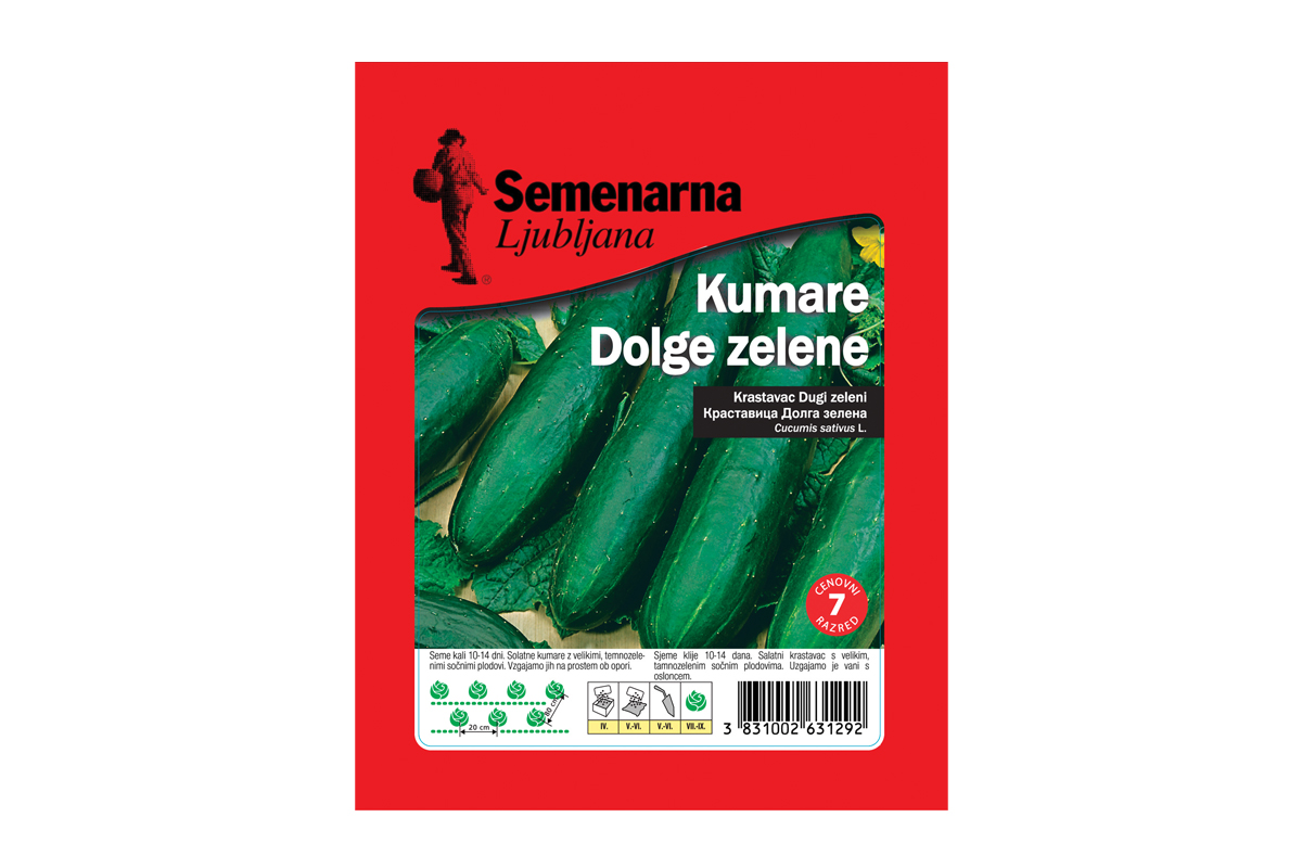 Kumara Dolga Zelena 25 g Semenarna 