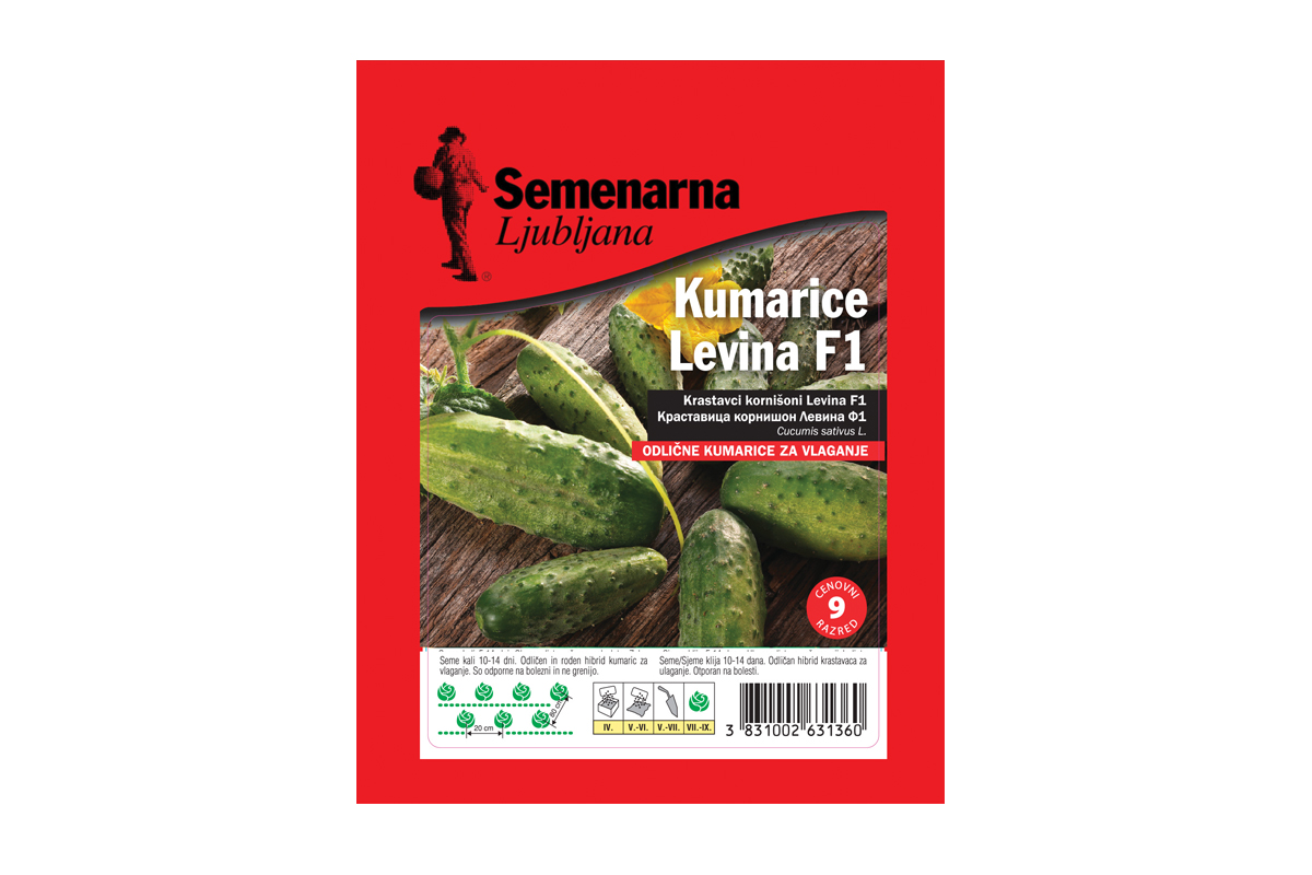 KUMARE LEVINA F1  50 g Semenarna 