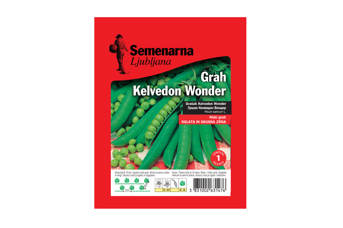 GRAH KELVEDON WONDER 100 g Semenarna