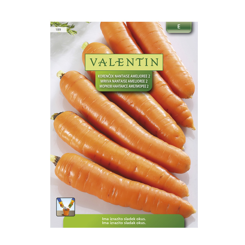 VALENTIN 189 KORENČEK NANTAISE AMELIOREE 2