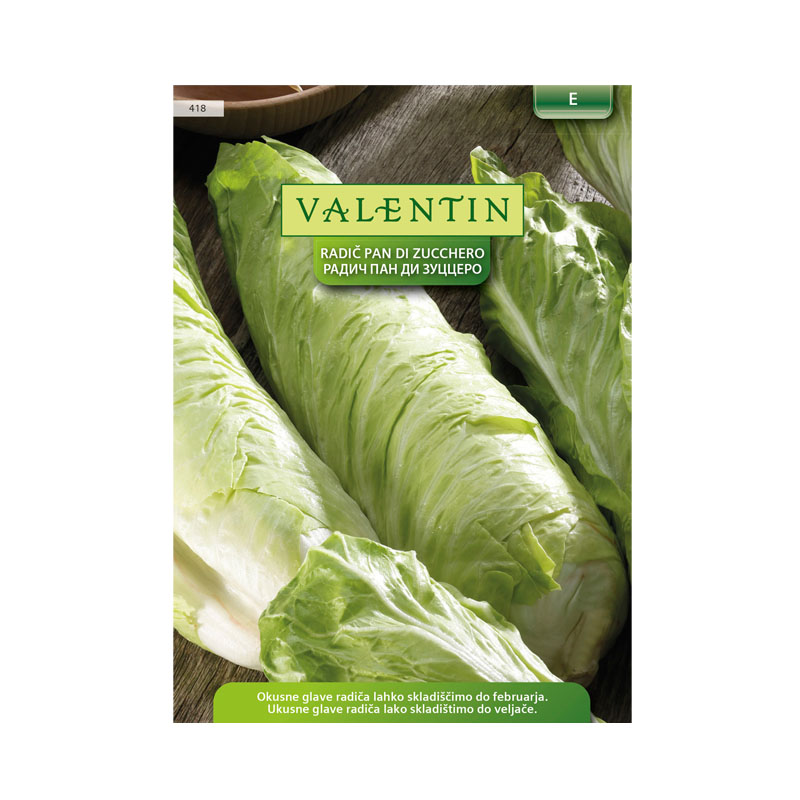 Valentin 418 Radič Pan di Zucchero