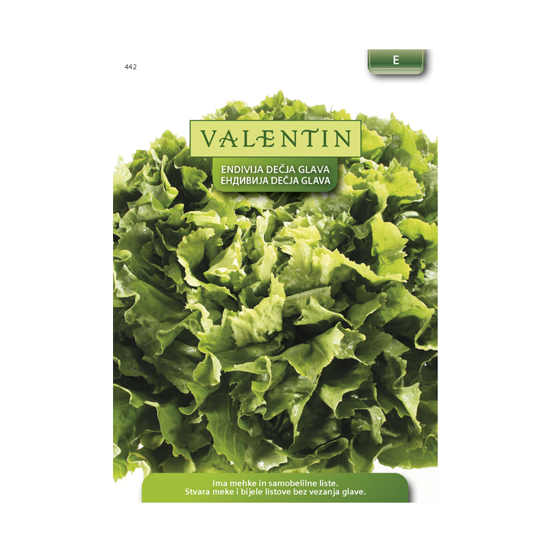 Valentin 442 Endivija Dečja glava