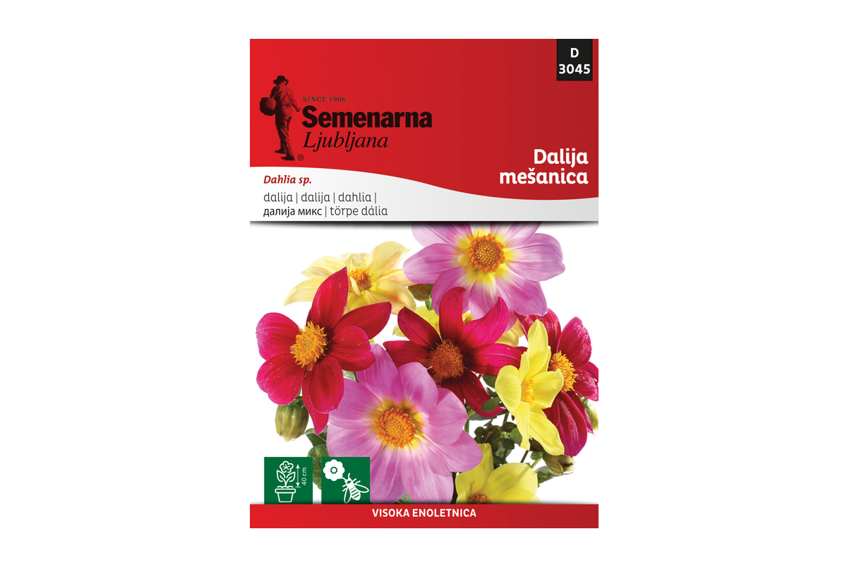 M.VREČKA 3045 DALIJA MEŠANICA