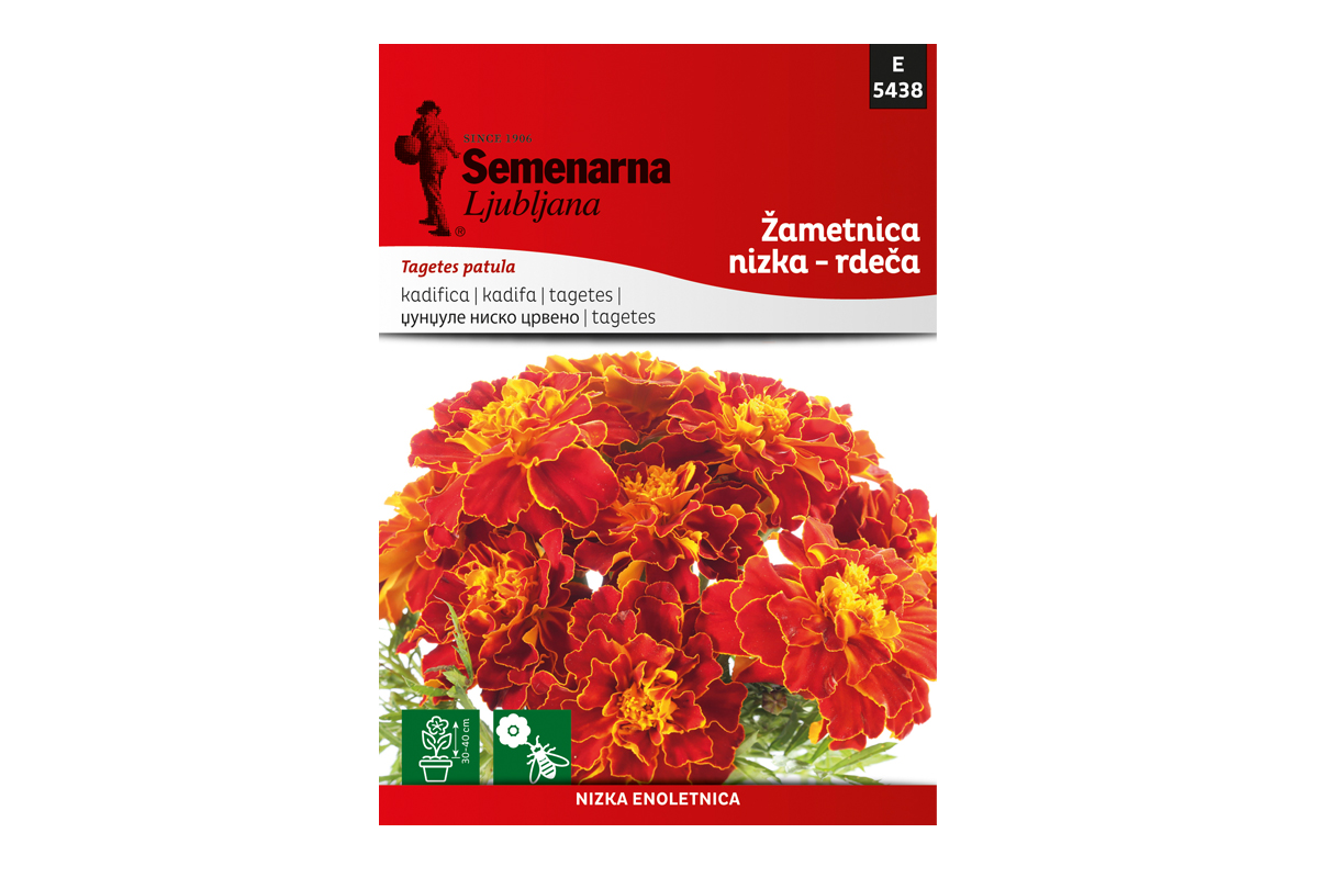 M.VREČKA 5438 ŽAMETNICA NIZKA - RDEČA (Tagetes)