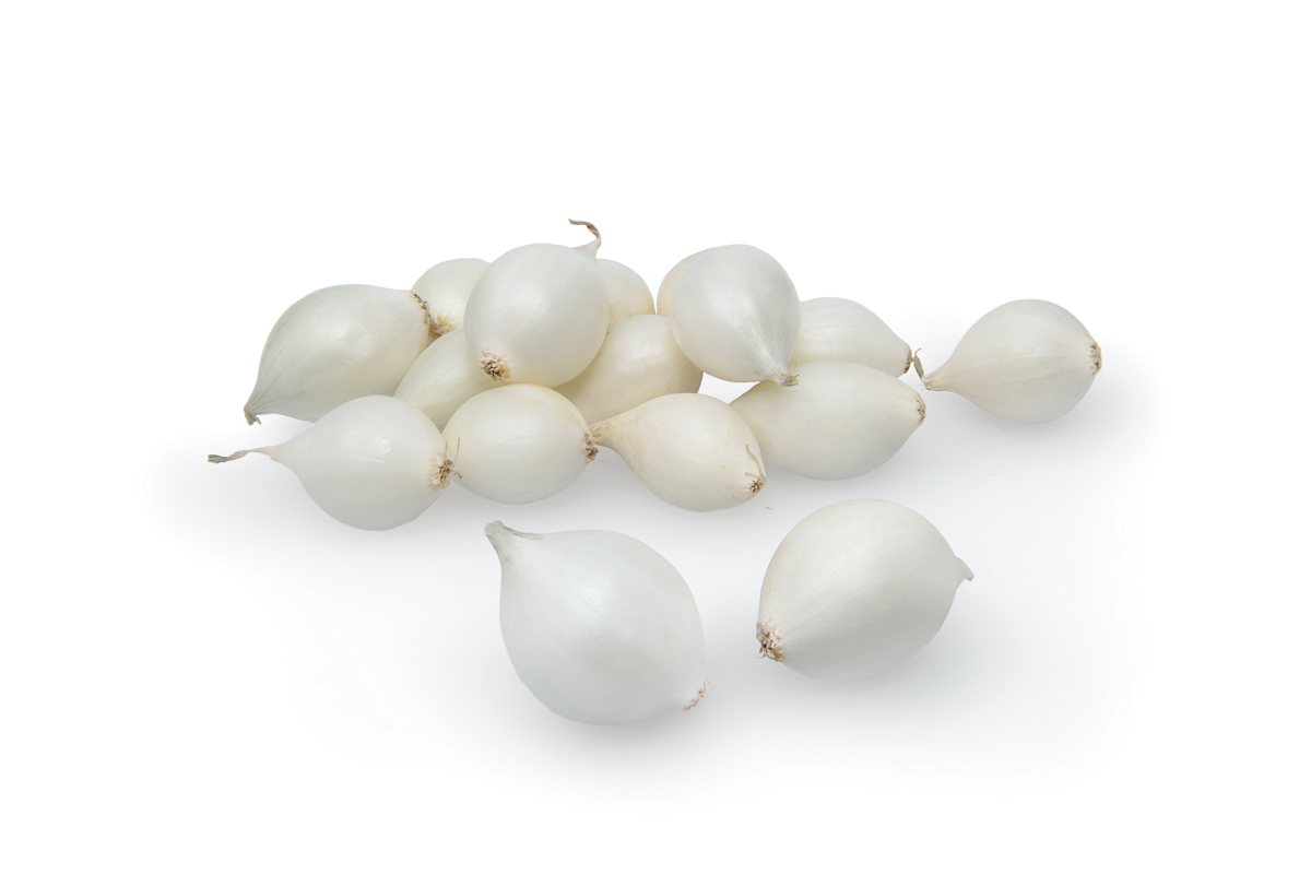 ČEBULČEK SNOWBALL (Majski srebrnjak) 500 g