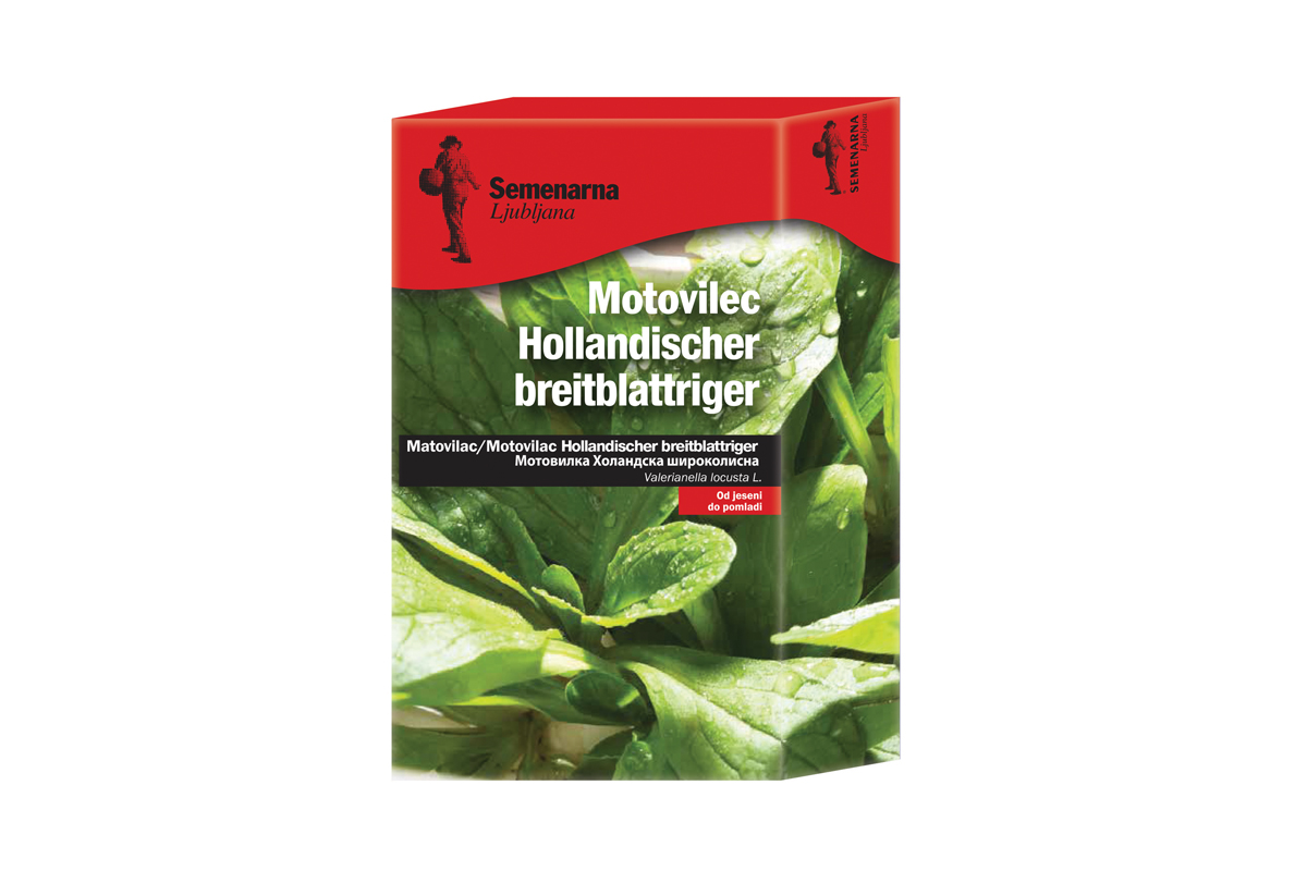 MOTOVILEC HOLLANDISCHER BREITBLATTRIGER 80 g ŠK Semenarna