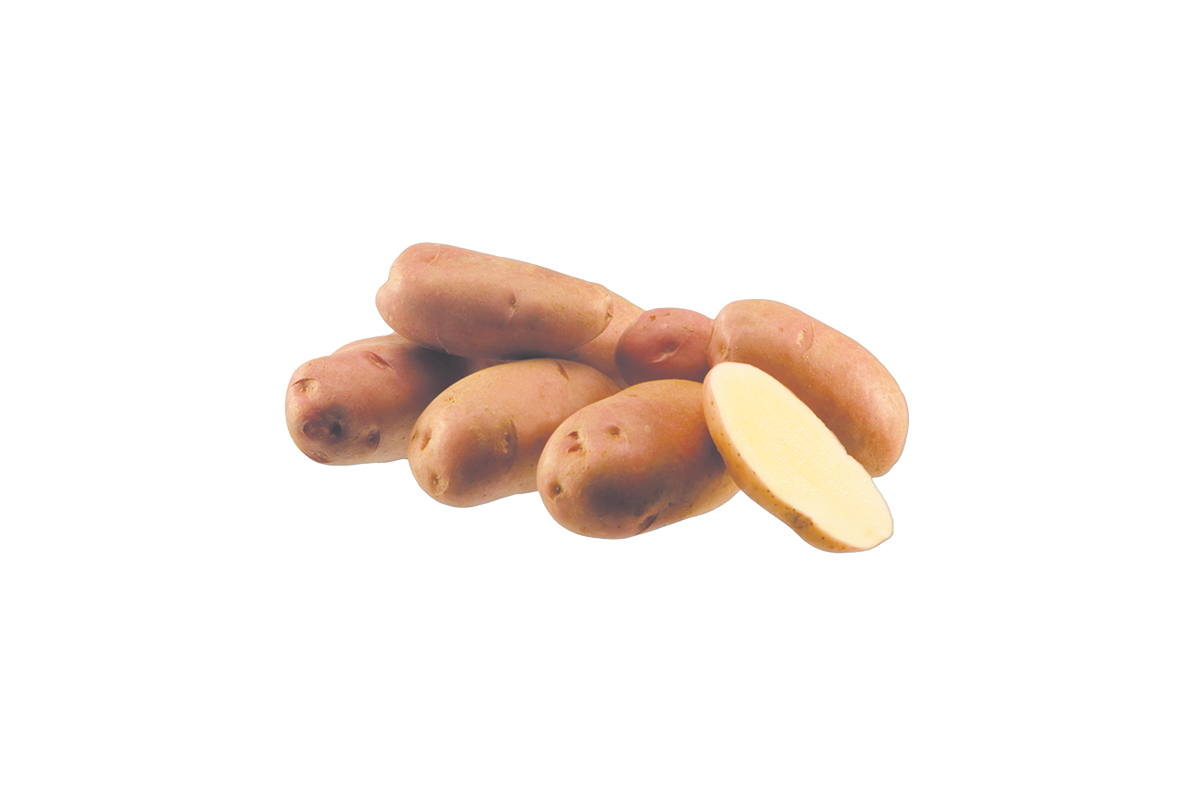 KROMPIR DESIREE E 25 kg 35/55mm