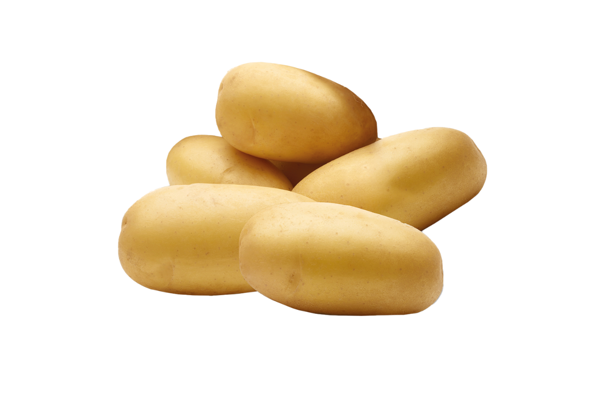 KROMPIR QUEEN ANNE  A 25 kg 35/55 mm