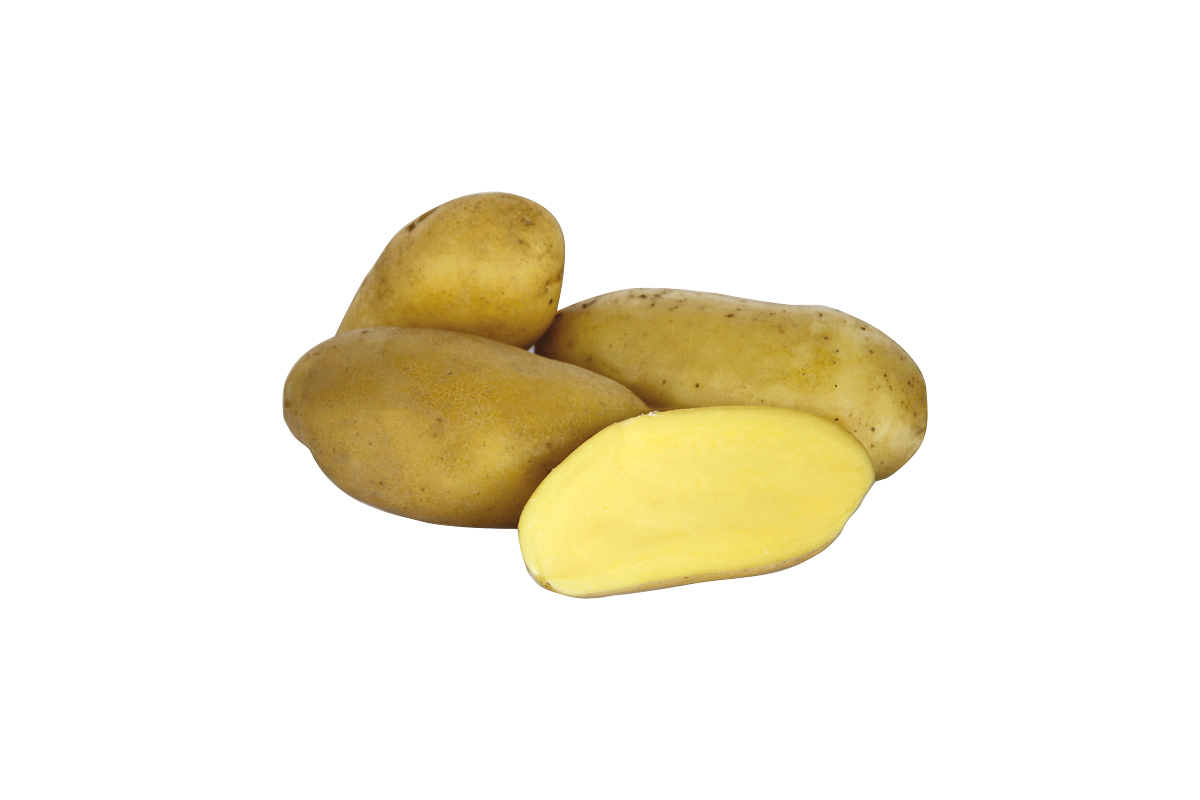 KROMPIR CELTIANE 25 kg