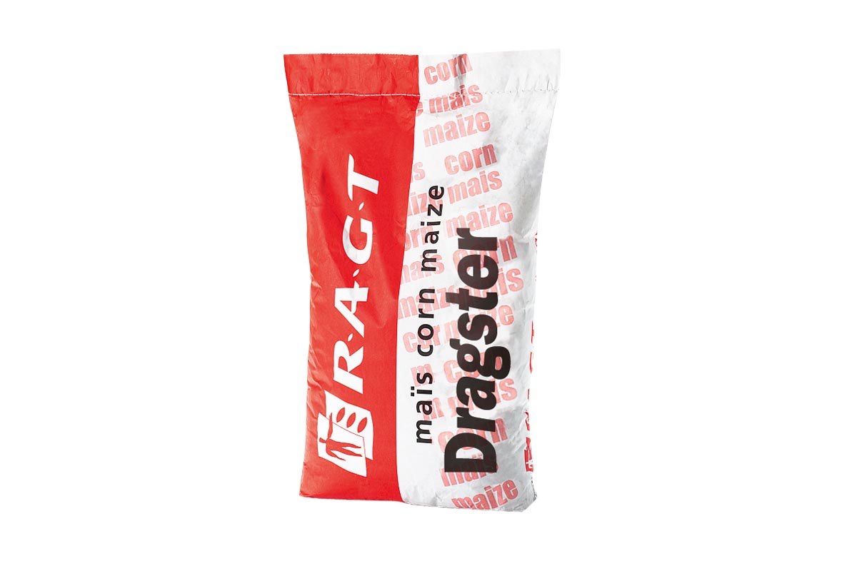 Koruza RGT DRAGSTER 50 MK Super fortify