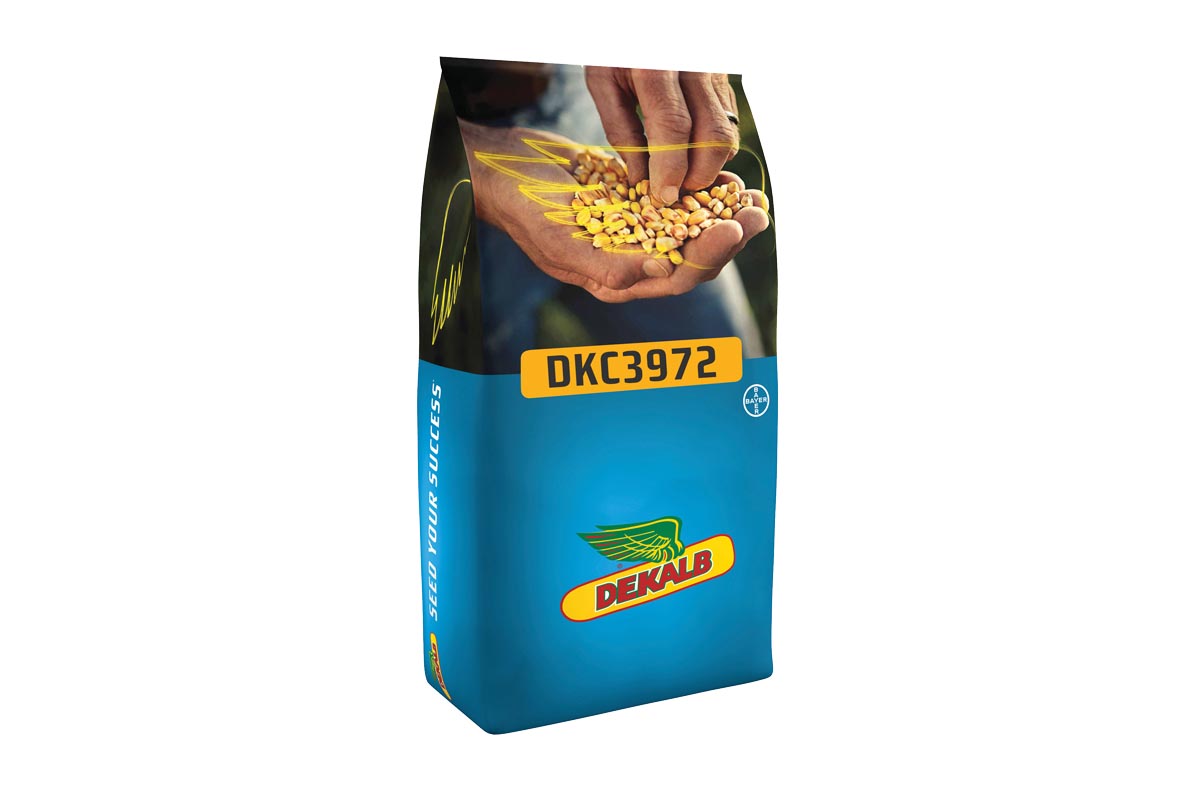 Koruza DKC 3972 50 MK Acceleron Elite