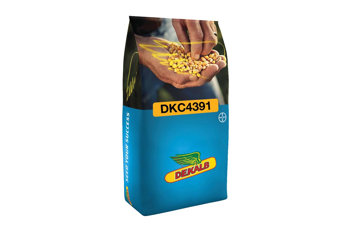 Koruza DKC 4391 80 MK Acceleron Elite