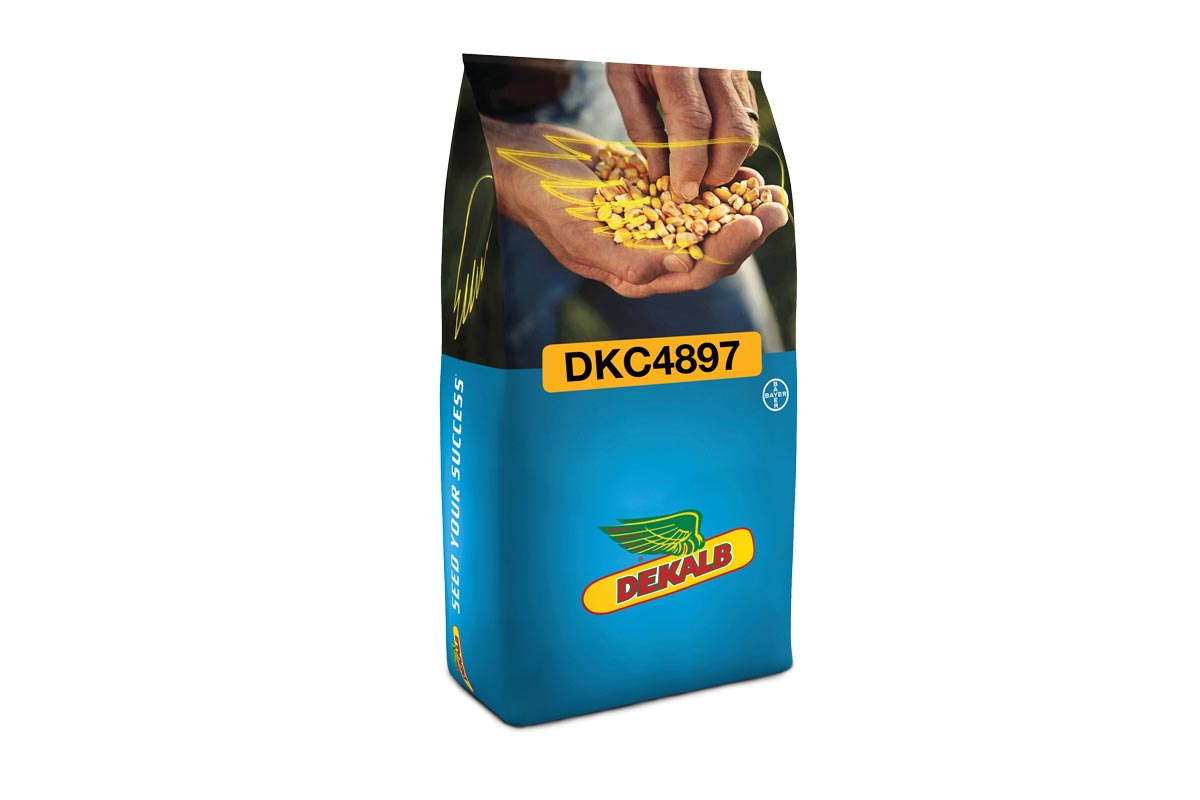 Koruza DKC 4897 50 MK Acceleron Elite