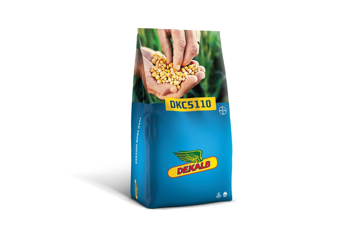 Koruza DKC 5110 50 MK Acceleron Elite