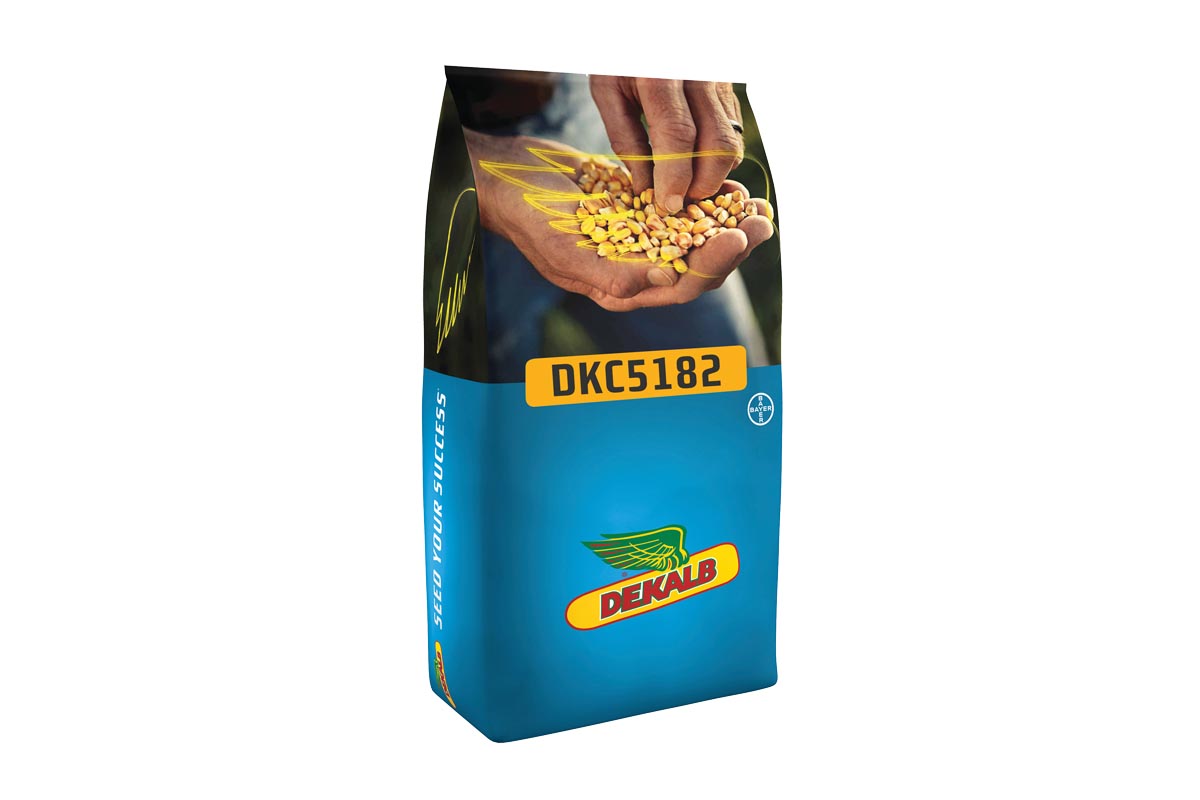 KORUZA DKC 5182 50MK Acceleron Elite