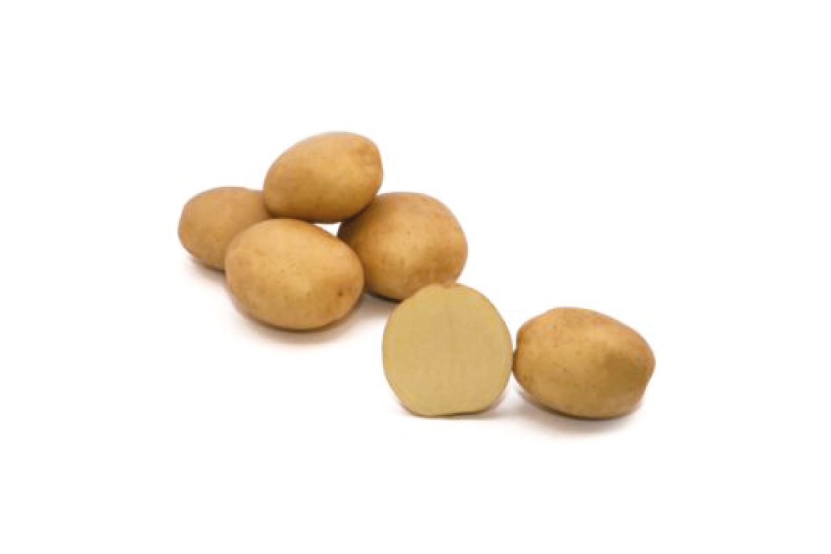 KROMPIR LAPERLA 3kg A 28/35mm 