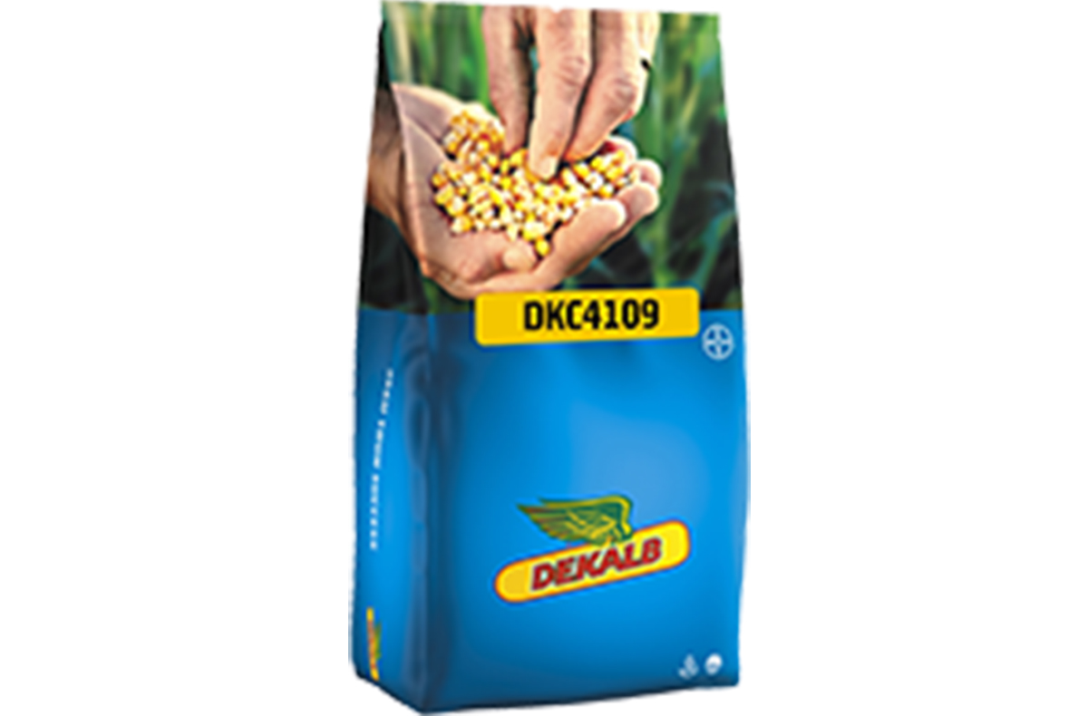 KORUZA DKC 4109 50 MK Acceleron Elite