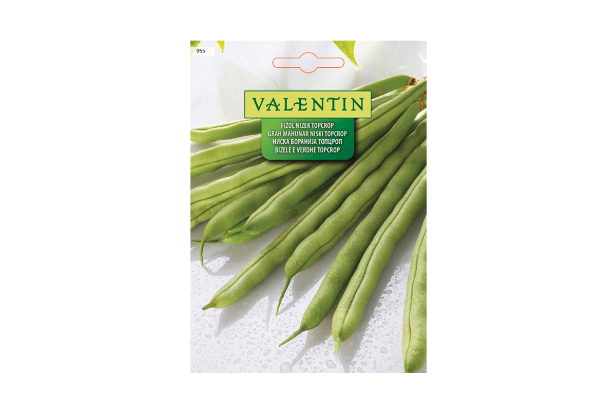Valentin 955 Fižol nizek Topcrop